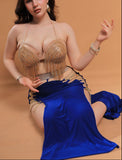 Belly dance suit made of Lycra with shiny beaded embroidery