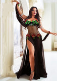 Belly Dance Suit